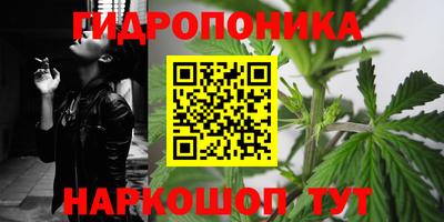 гашик Волжский