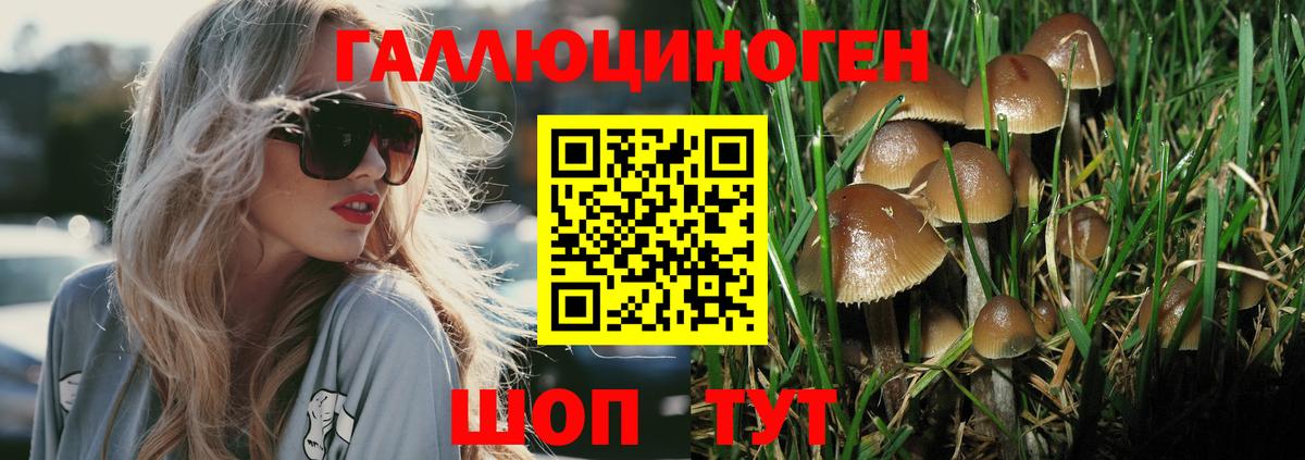 Галлюциногенные грибы MAGIC MUSHROOMS Нижний Новгород